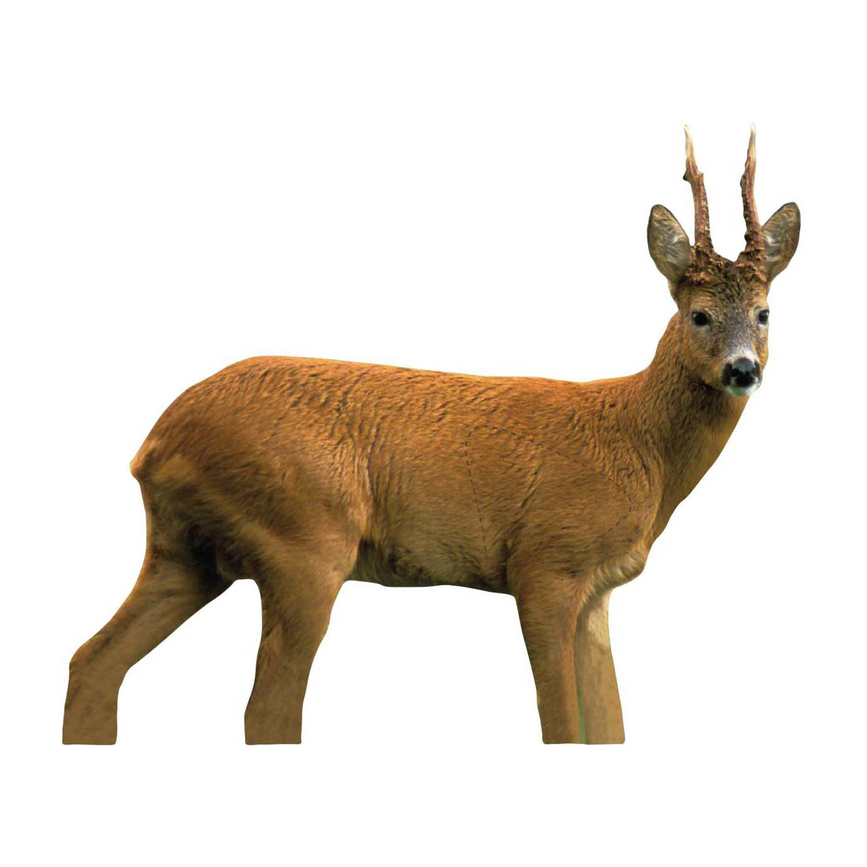 22-5116bockh.png