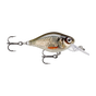 Live Roach