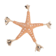 prod1000-36046-1.png