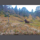 wp-content-uploads-2025-09-hunter-viltkamera-foto-03.png