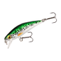Rainbow Trout