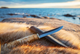 2020-09-carboncurlybirchfur_.webp.png