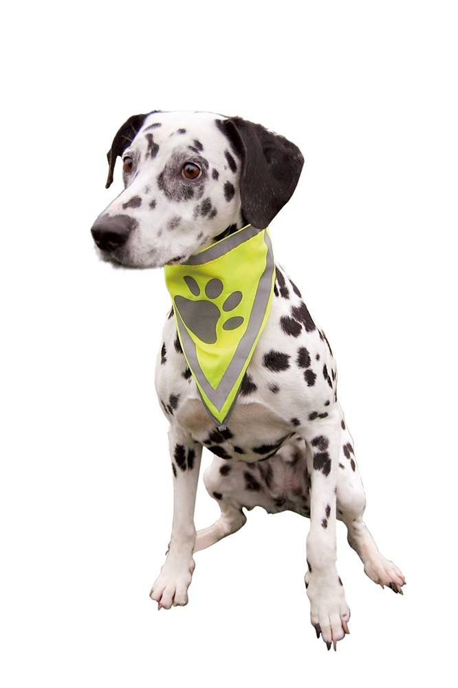 prod1000-dog_clip_30121-1.png