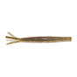 Mud Minnow