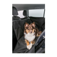 prod1000-13203-8.png