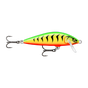Gilded Firetiger