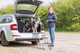 prod1000-image_dog_bordercollie-sonic-falttreppe-auto-1.png