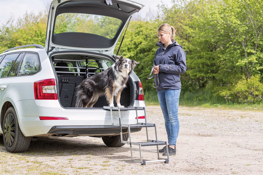 prod1000-image_dog_bordercollie-sonic-falttreppe-auto-1.png