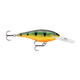 api-2000x2000,fit-new-101449.png