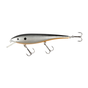 Silver Sally