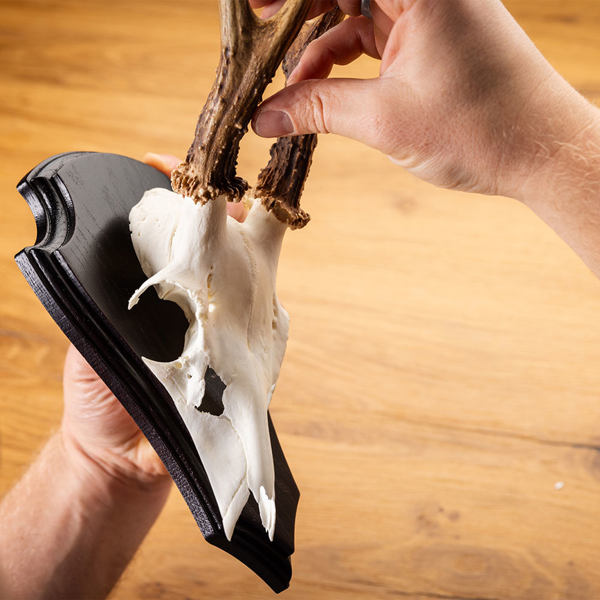 d3-ed-a8-1753168199-560896_14.png