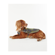 dco0012tn11_03getthelook_model.png