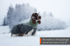 cdn-shop-files-glacier_wool_jacket_2_0_setting_2.png