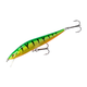 pwf-gt-10n-ft_1.png