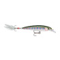 Rainbow Trout