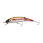 Rainbow Trout