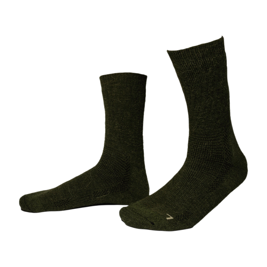 hwal26014447_3.png