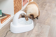prod1000-cat_24444-4.png