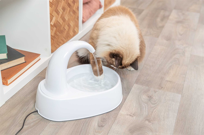 prod1000-cat_24444-4.png