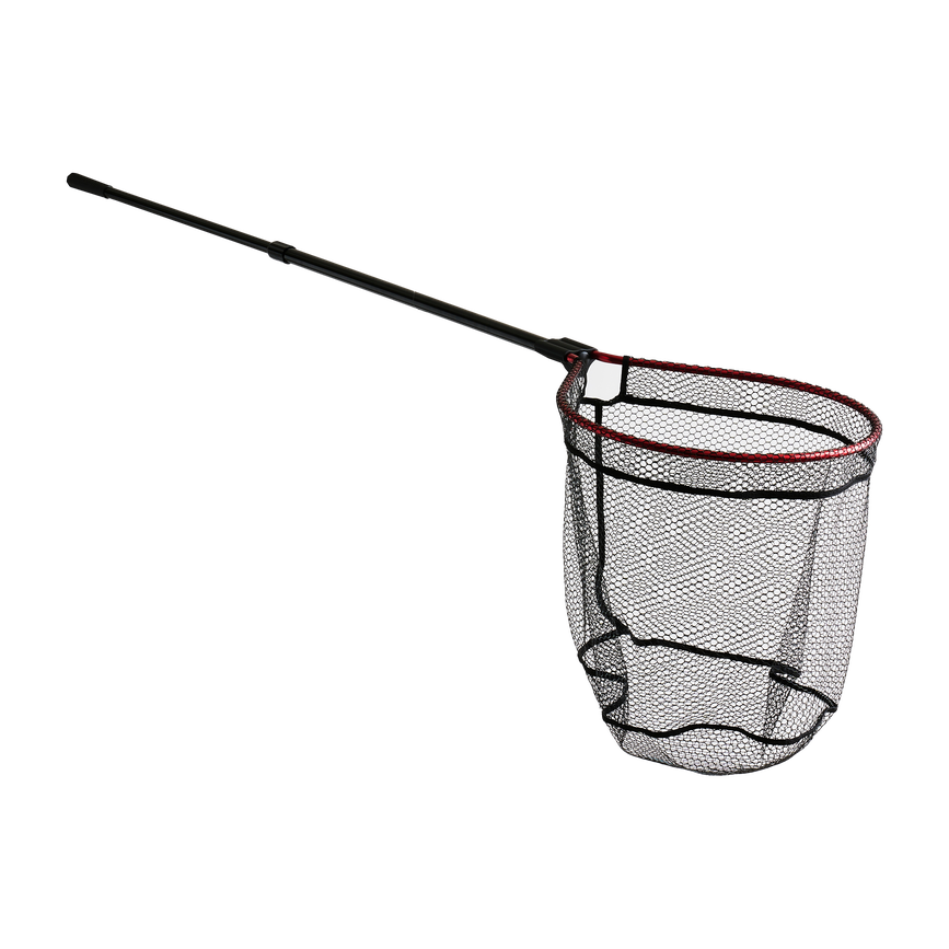 1611553_ms.png