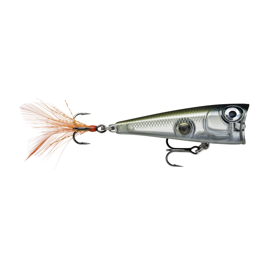 image-247222311749-image_ae0tcj3m452pred76jn2se2e39--s1536x2048-fpng-151378_swatch.png