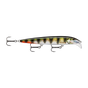 Live Hologram Perch