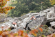 horizon_varmint_black_synt_2-1620x1080.png