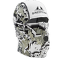 Desolve Zero