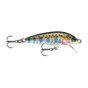 Rainbow Trout