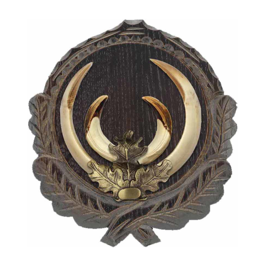f3-14-4c-1715149405-560847_2.png