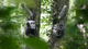 _referenced-content-hunting-trail-cameras-section-secondary-benefits-zeiss-trail-cameras-service-plans-best-value_jcr_content-renditions-original.image_file.1914.1077.3_0_1917_1079.file-zeiss-trail-cameras-service-plans-best-value.jpg.png