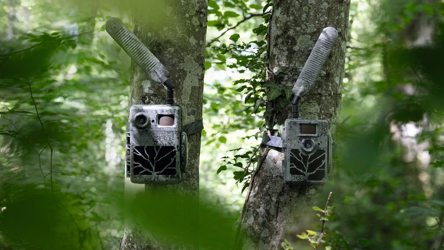 _referenced-content-hunting-trail-cameras-section-secondary-benefits-zeiss-trail-cameras-service-plans-best-value_jcr_content-renditions-original.image_file.1914.1077.3_0_1917_1079.file-zeiss-trail-cameras-service-plans-best-value.jpg.png