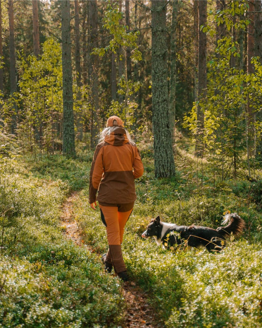 3303-271-43_Pinewood.jpg