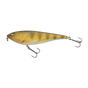 Golden Zander
