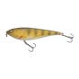Golden Zander