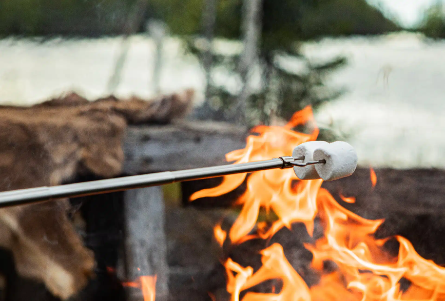 2020-09-marshmallow_.webp.png