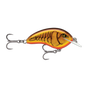 Dark Brown Crawdad