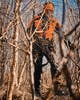 5809-135-43_Pinewood.jpg