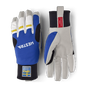 Royal blue/Yellow