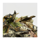 j0008736_3.png