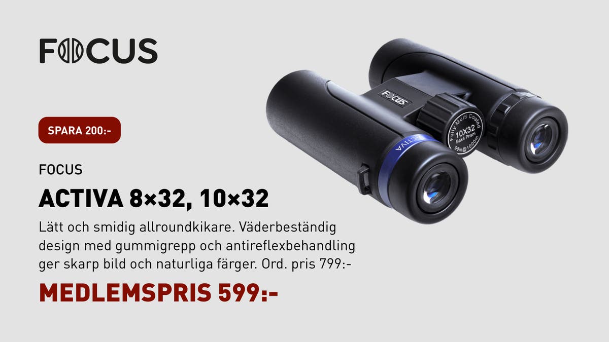 Butiksskärmar club jaktiadagarna April 2026_page-0013.jpg