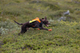 protector_vest_gps_2_setting_1.png
