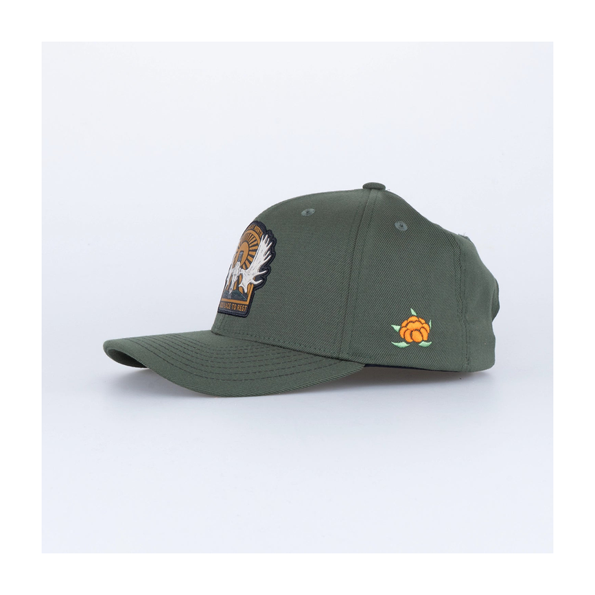files-alghorn120keps-olive2.png