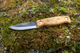 2024-07-hikers-carbon-1.png