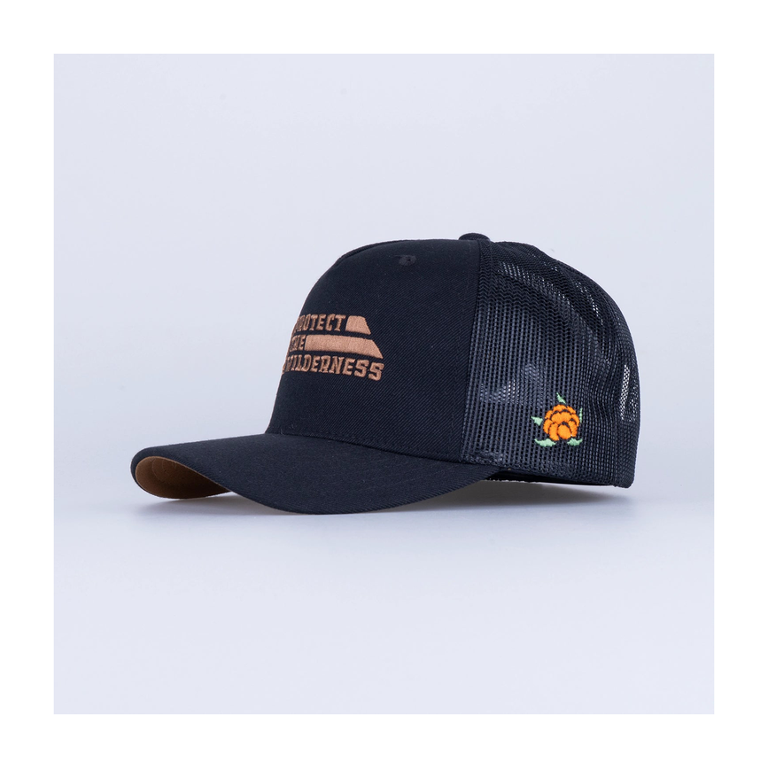 files-protecttruckerkeps-black1.png