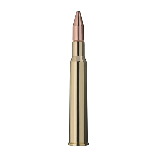 user_upload-rws-bilder-produkte-munition-buechsenpatronen-patronen-2118483_rws_7x65r_ks_10_5g_einzelpatrone-seite.png