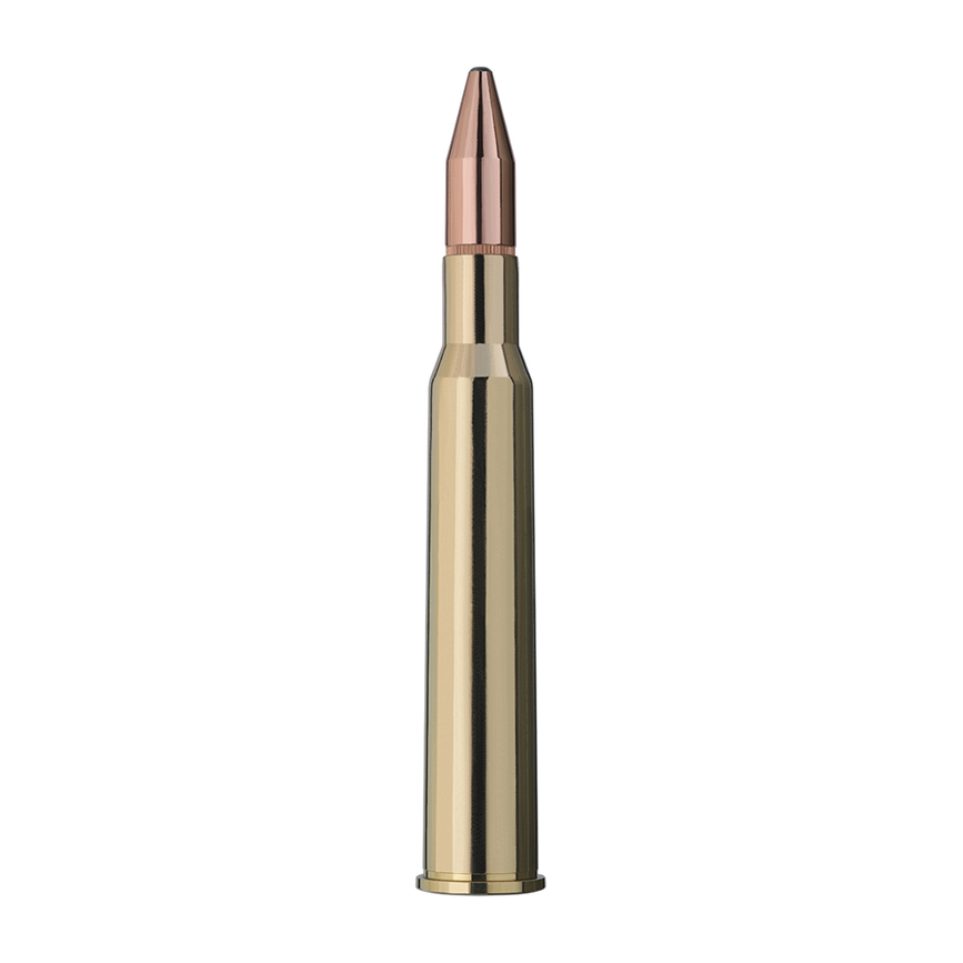 user_upload-rws-bilder-produkte-munition-buechsenpatronen-patronen-2118483_rws_7x65r_ks_10_5g_einzelpatrone-seite.png