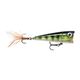 api-2000x2000,fit-new-151380.png