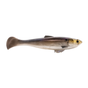 Gizzard Shad