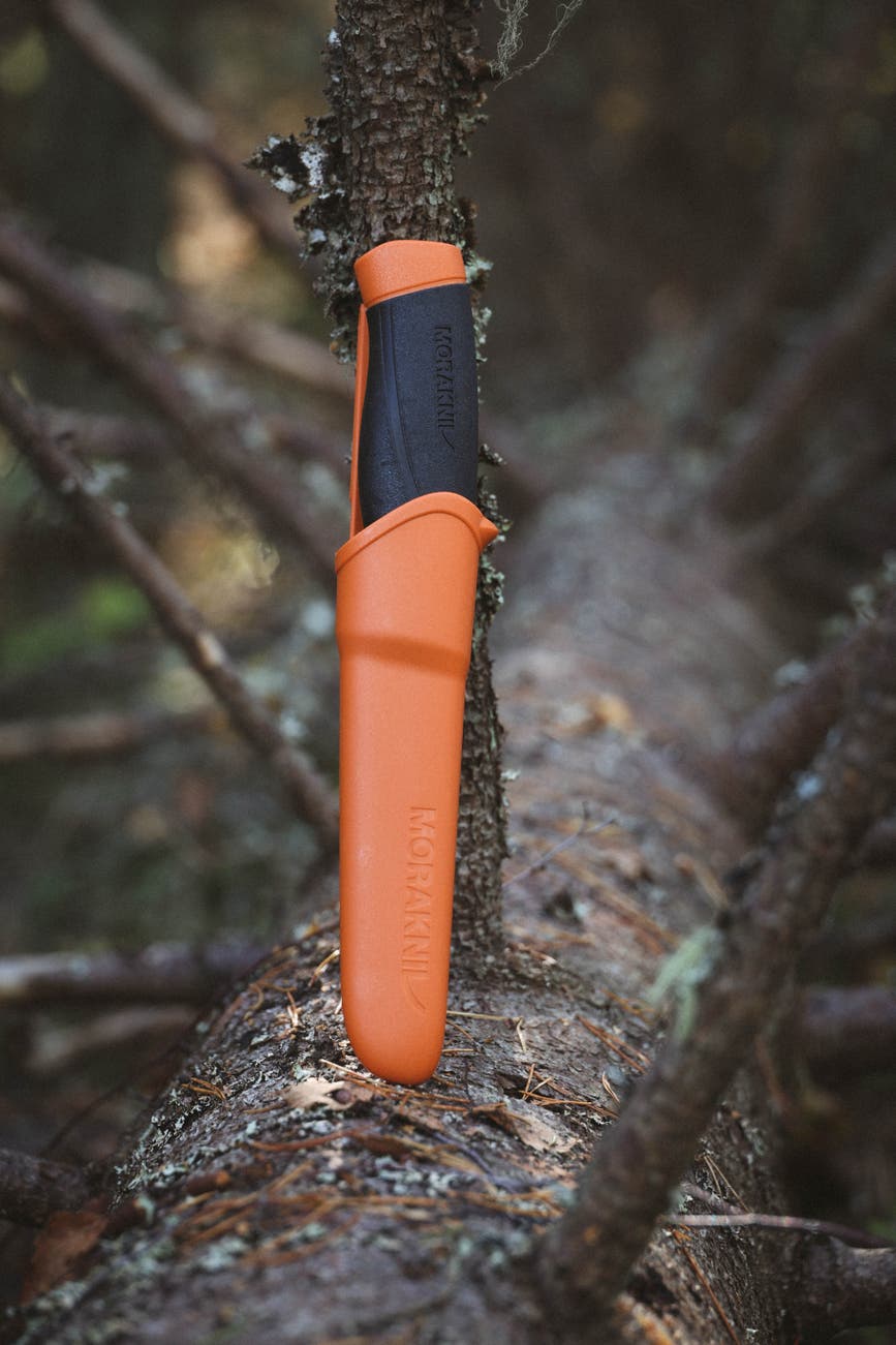 companion_hd_orange_1.jpg
